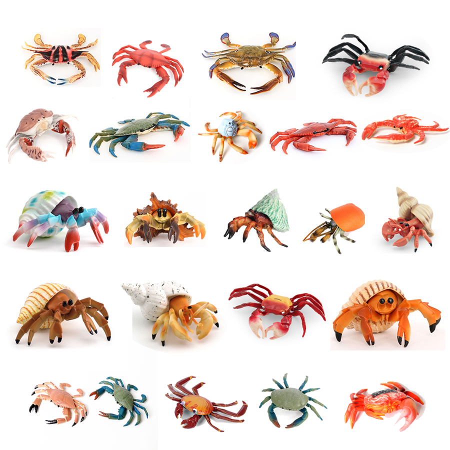 Kids Toys Home - Realistic Ocean Animals Hermit Crab Coconut