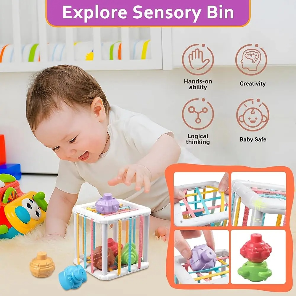 Rainbow Colorful Montessori Sh - Kids Toys Variety ulasan dan harga
