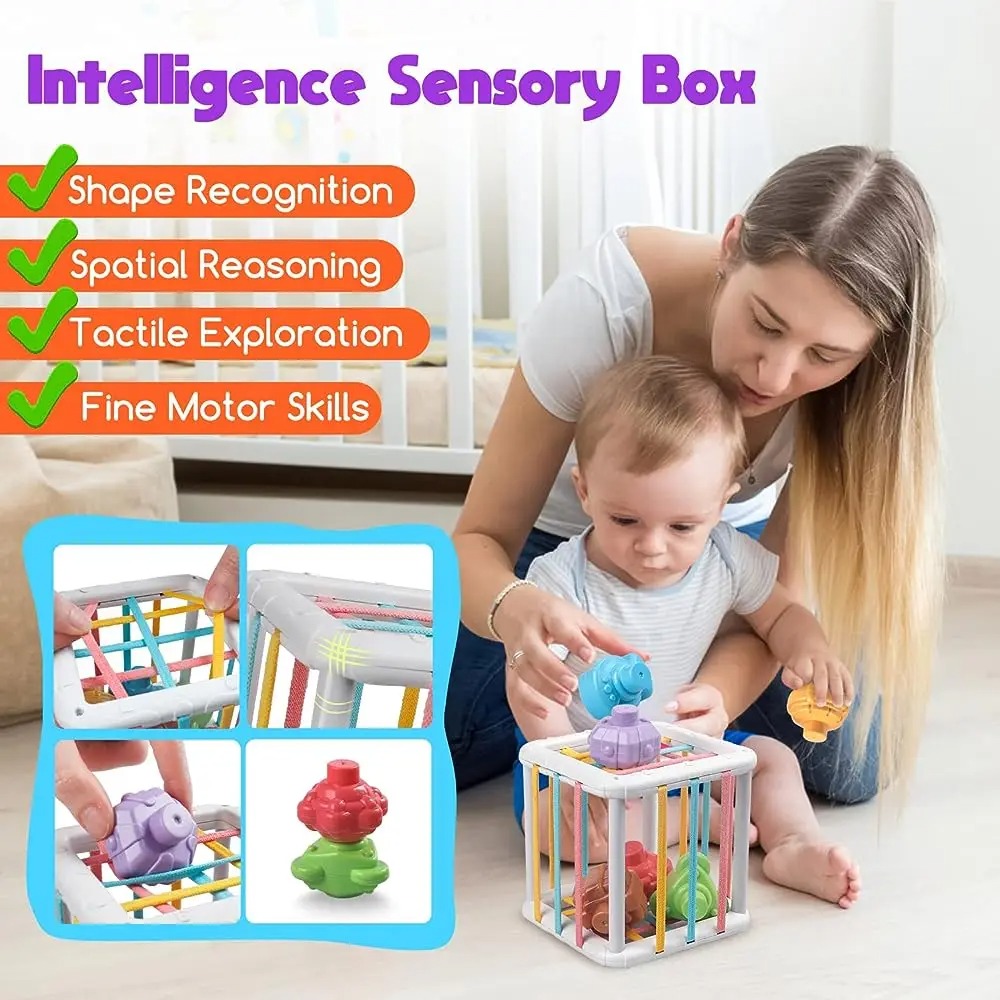 Rainbow Colorful Montessori Sh - Kids Toys Variety ulasan dan harga