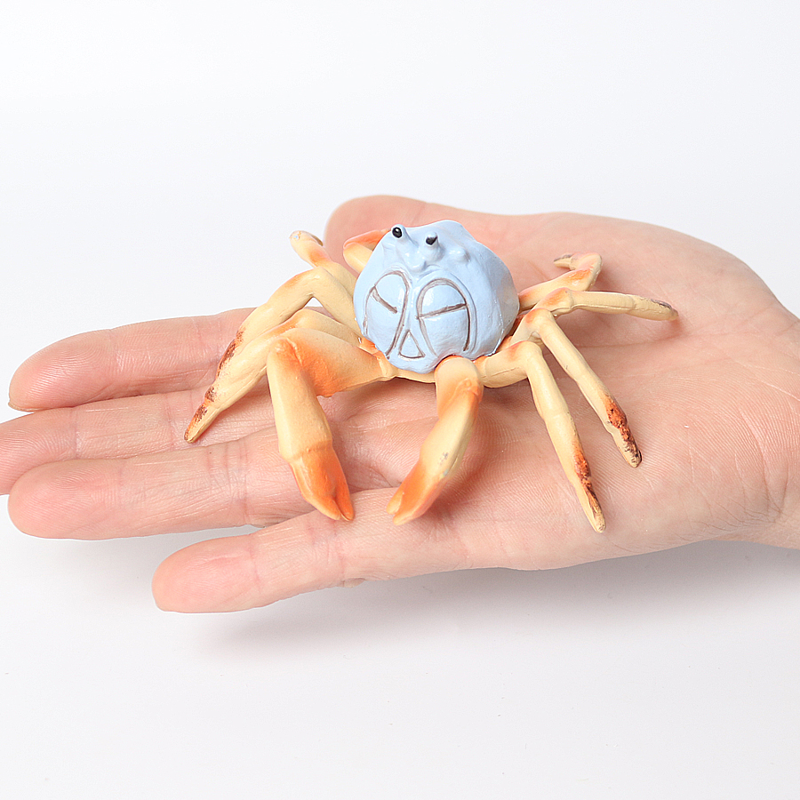 Realistic Ocean Animals Hermit - Kids Toys Home ulasan dan harga